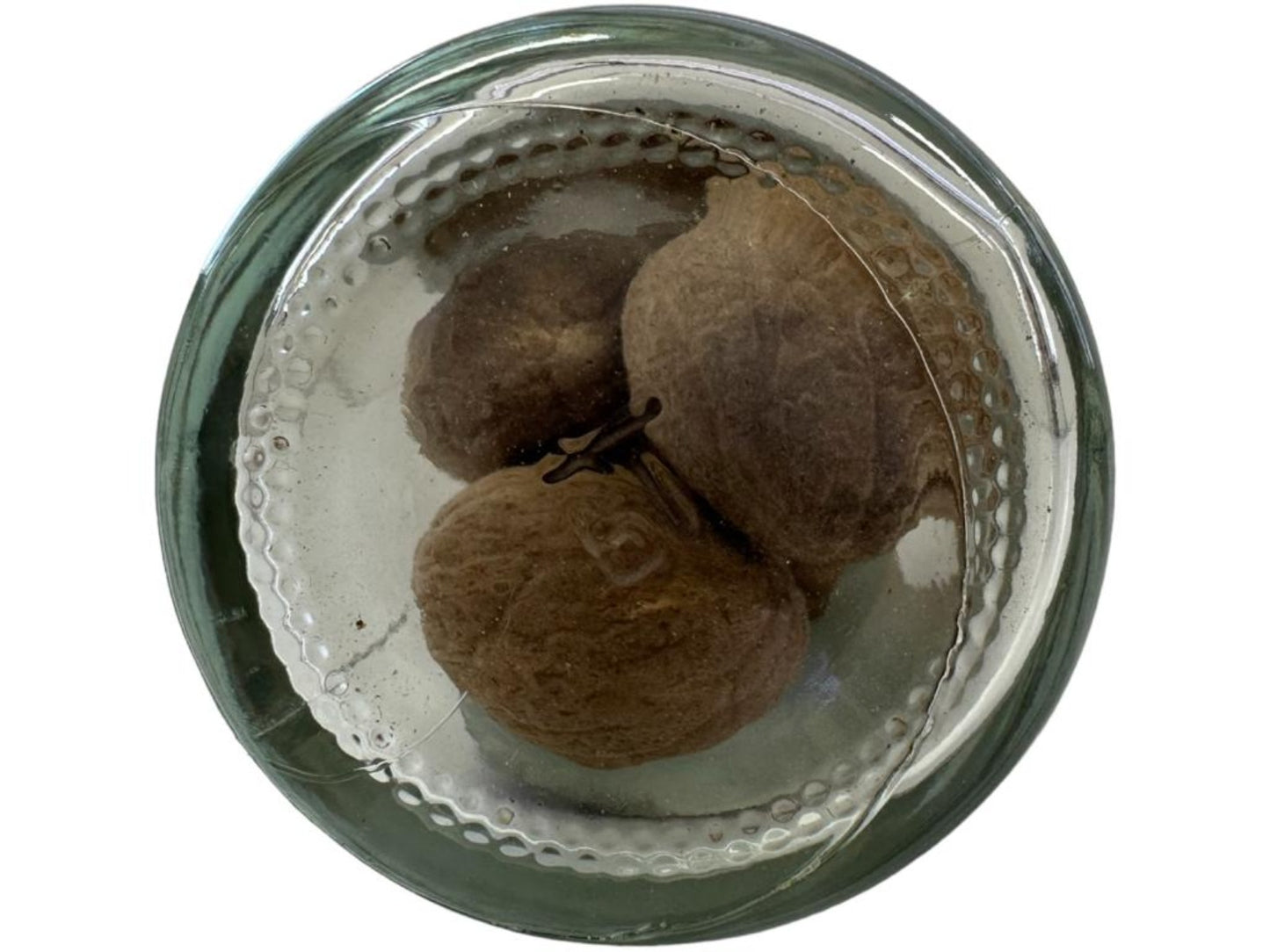Carmencita Whole Nutmeg 42g