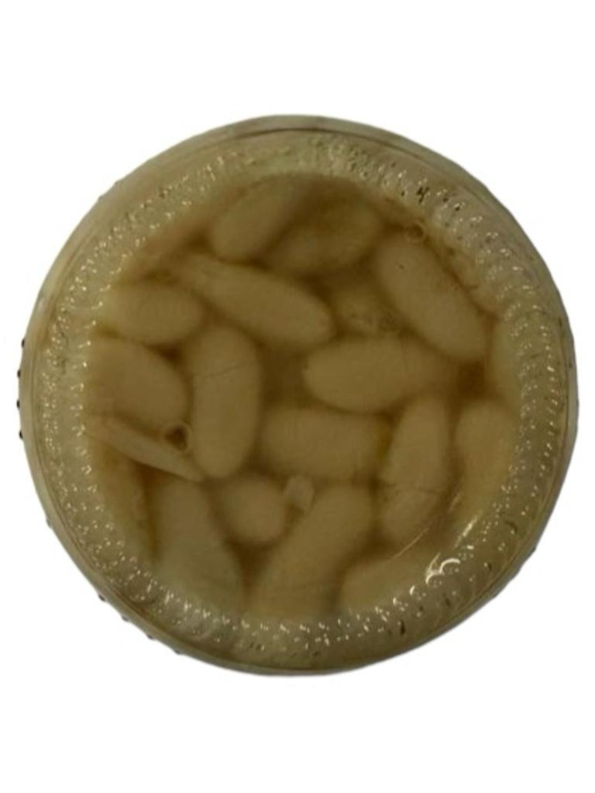 Lozano Alubias Blancas Cocidos 560g (Best Before 20-02-2028)